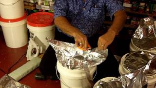Long-Term Survival Food Storage: Whole Wheat Berries Long-Term Survival Food Storage: Whole Wheat Berries