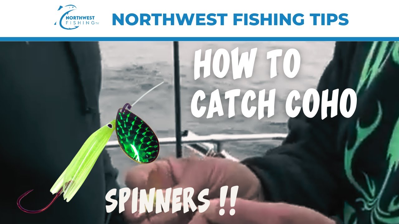 How to Catch Coho with Spinners in Saltwater 