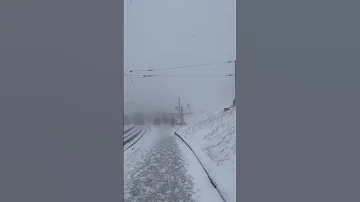 Blizzard At Rigi Kulm On April 