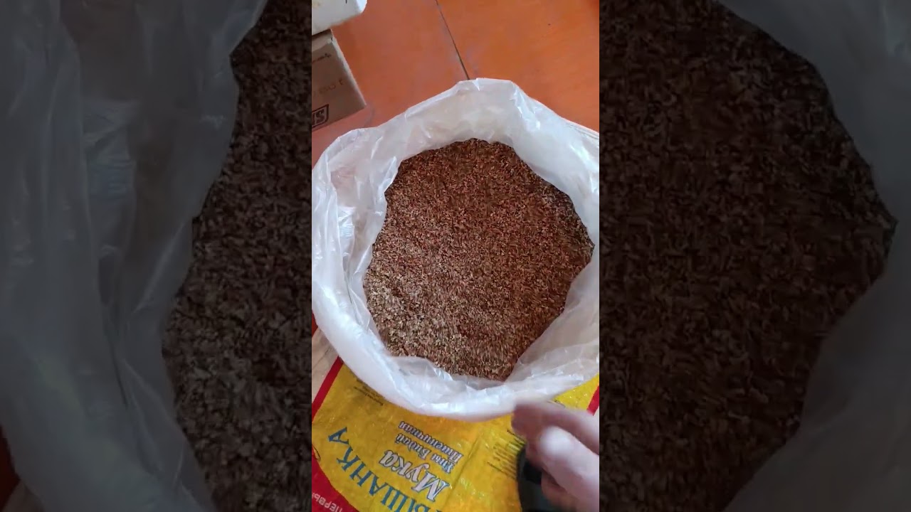 Свойства солодки, польза для табака. Запах табака при брожении.