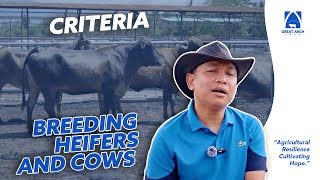 CRITERIA FOR CHOOSING BREEDING HEIFERS AND COWS