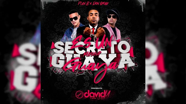 Plan B X Don Omar  Es Un Secreto X Guaya Guaya (David M Mashup)