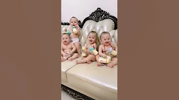 الصيصان Shorts لايك 