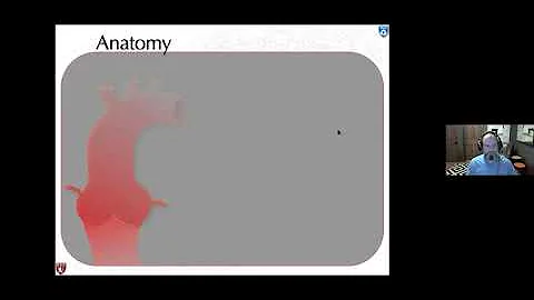 Aortic and Cardiac Emergencies