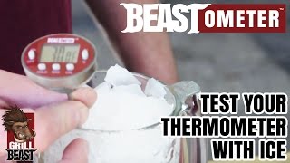 Test Your Thermometer with Ice the Right Way  - Grill Beast
