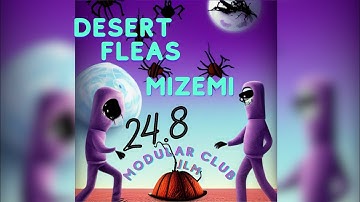 Mizemi Live @ Modular (full concert)