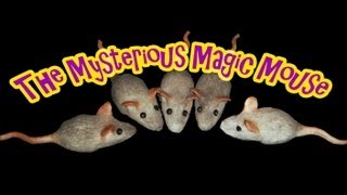 The Mysterious Magic Mouse