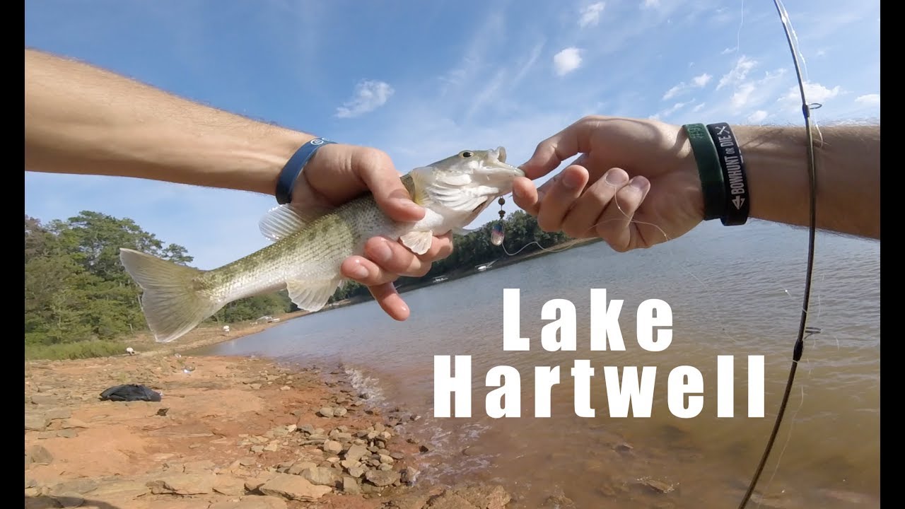 Micro Bass Fishing Lake Hartwell YouTube