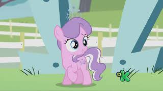 Mlp-Vote Em Pipyportuguês Brasil