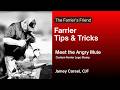 Meet the Angry Mule - Custom Farrier Logo Stamp