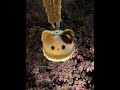 Broken world, little cat tastes the salt and bland.   #Nightlight #Cat #CuteCreature