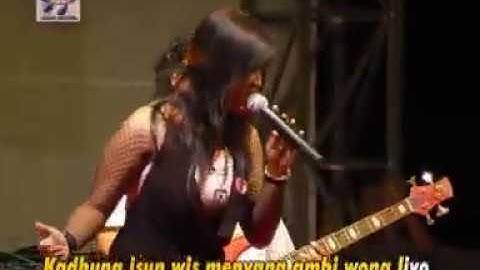 Armeliya Yunita - Prucuke Jamur [Official Music Video]