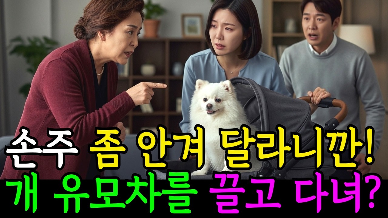 손자 타령하던 시어머니, 며느리의 ‘강아지 유모차’ 보고 분노했습니다ㅣ노후사연ㅣ감동사연ㅣ사연라디오ㅣ오디오북