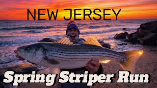 CRAZIEST Striped Bass Run of Our Lives April 2026 (We Couldn’t Keep Up)