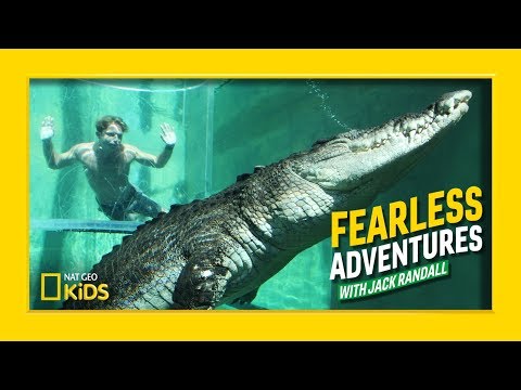 Swimming with a Giant Saltwater Crocodile | Fearless Adventures with Jack Randall