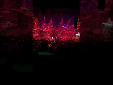 20201128 蕭煌奇-上水的花 2020年愛之日常音樂節