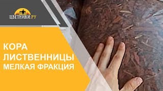 Кора лиственницы (мелкая фракция 0-3 см)(В этом ролике Вы увидите что из себя представляет мелкая мульча из коры лиственницы, которую рекомендуется..., 2015-09-12T15:03:33.000Z)