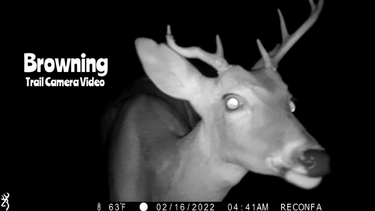 Deer Feeder Cam Browning Recon Force Advantage Trail Camera Video Feb