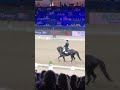 Edward Gal and Total Us freestyle jumping Amsterdam 2020