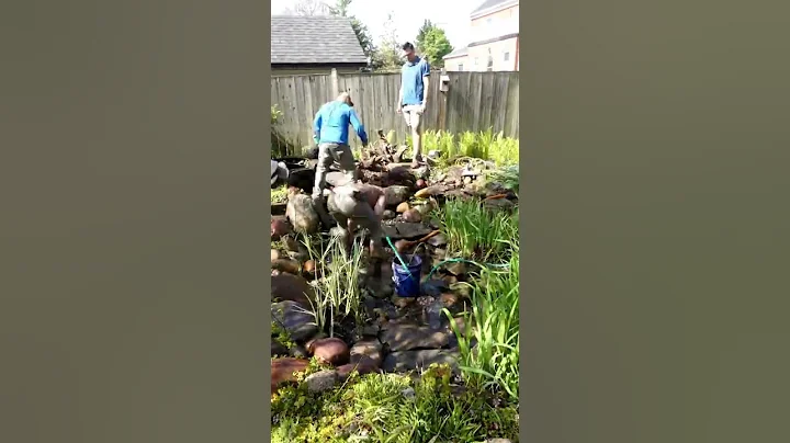KOI POND gets Power Washed Clean for the SPRING 🌷 | #shorts