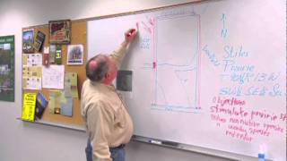 Writing a Prescribed Burn Plan