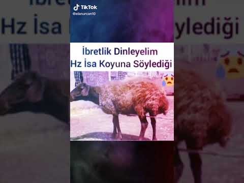 Hazreti İsa Aleyselamın Kuzunun Kulağına Ölüm var deme meselesi