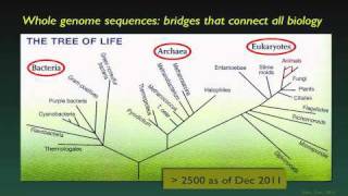 The Human Genome and Individualized Medicine - David Valle
