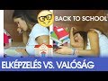 Back To School #2 - ELKÉPZELÉS VS. VALÓSÁG #1 (2017) | Plaura