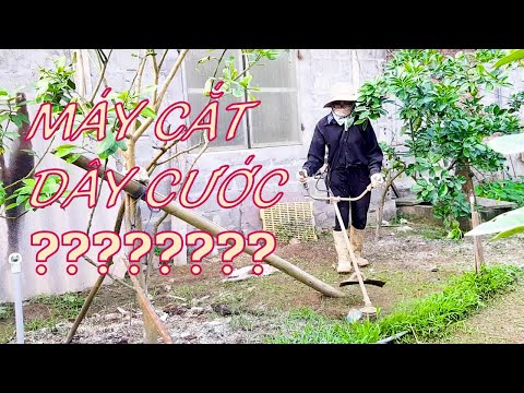 Video: Máy cắt cỏ và Máy cắt cỏ - Máy cắt cỏ được sử dụng để làm gì trong vườn