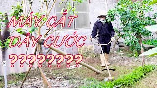 Cách Sử Dụng Máy Cắt Cỏ Hiệu Quả Và Đảm Bảo An Toàn Cho