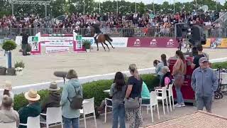 AGANOUS 👑 *2015 Aganix du Seigneur x Cassini                    1,55 m / CSI 4* Hohen -Wieschendorf 