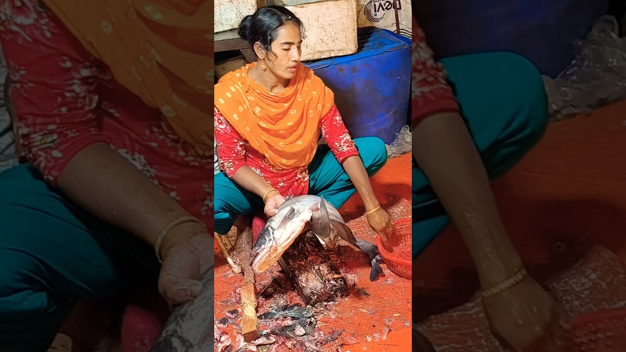 big boyal fish cutting video 