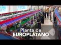Inaugurada en País Vasco la nueva planta de maduración del Grupo Europlátano