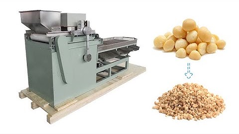 Hazelnut Dicing Walnut Crusher Pistachio Crushing Almonds Peanut Chopping Cashew Nut Cutting Machine