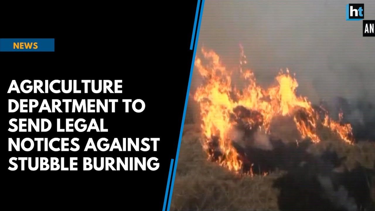 Agriculture department to send legal notices against stubble burning