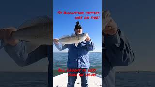 St Augustine Jetties Was On Fire Redfish