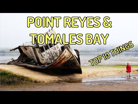 Vídeo: Tomales Bay e Point Reyes Road Trip