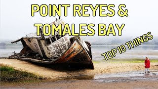TOP 10 THINGS TO DO IN POINT REYES AND TOMALES BAY IN MARIN COUNTY!