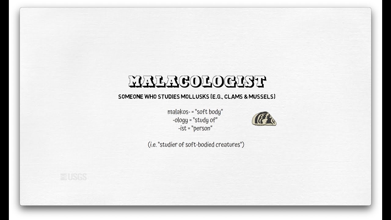 I Am A...Malacologist