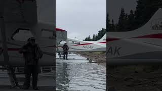 That’s so close, does the bear keep coming?? #bear #floatplane #bushpilot #adventuretravel