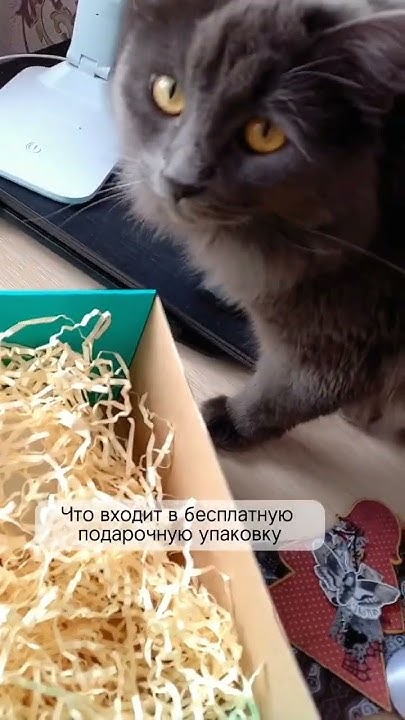 Упаковка: прочная коробка, тишью, наполнитель, секретный конверт ...