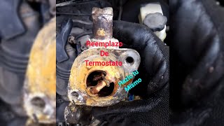 Cambio De Termostato Atos 20052012