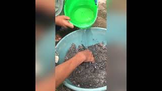 Pembuatan Telur Asin