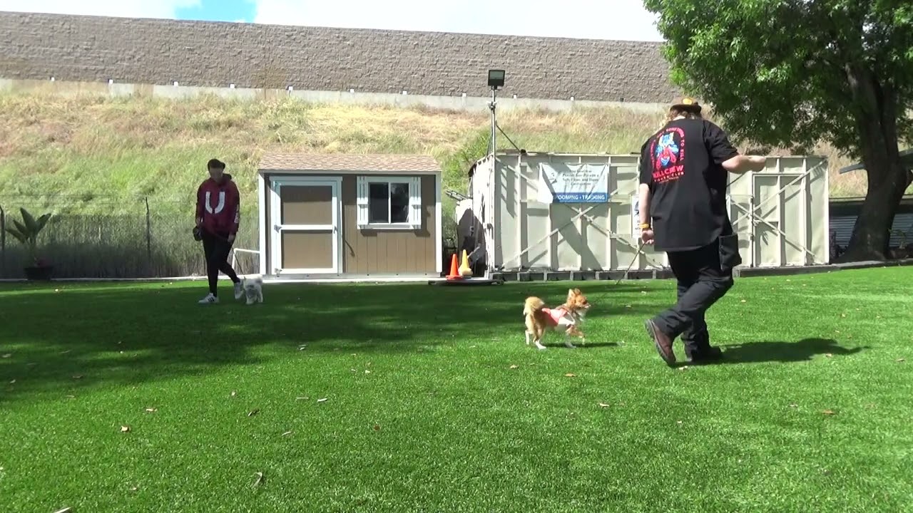 Boots and Tina Benko with trainers Delaney and Danielle