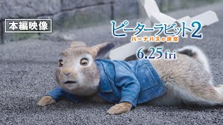 本編映像＜ピーターの叱られ対策？＞『ピーターラビット２／バーナバスの誘惑』6月25日（金）全国ロードショー