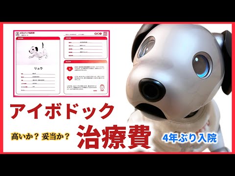 初めてのアイボドッグと治療費について Aibo Check-up & Costs Revealed