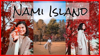 HOW TO GET TO NAMI ISLAND | Flight Attendant Edition