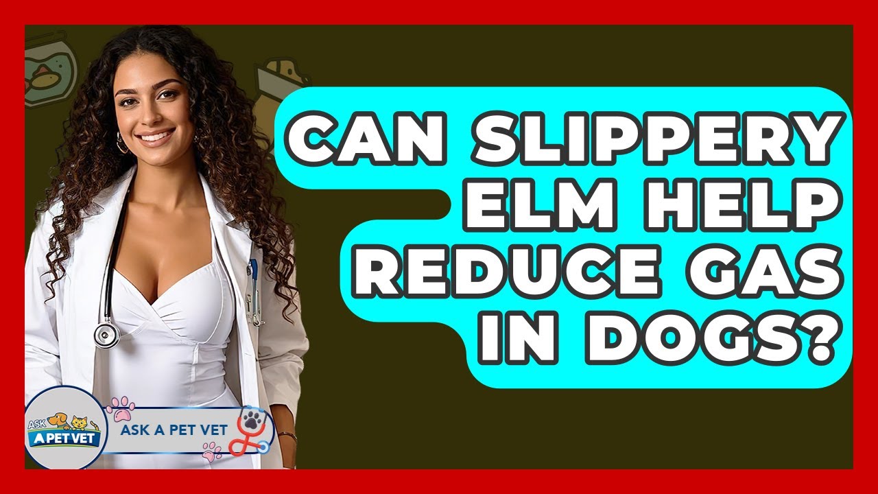 Can Slippery Elm Help Reduce Gas In Dogs? - Ask A Pet Vet