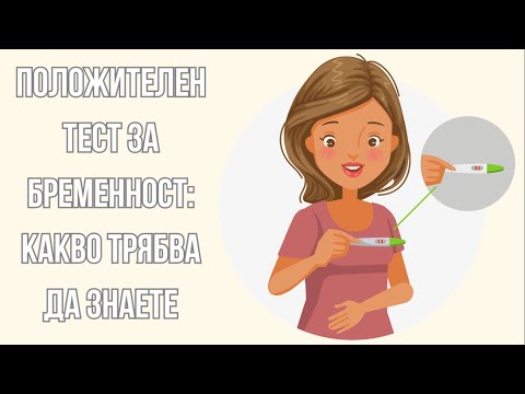 Видео: Какво да очаквате след цистотомия при кучета?