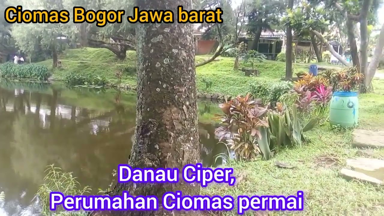 DANAU CIPER, DEPAN PERUMAHAN CIOMAS PERMAI ,CIOMAS BOGOR 